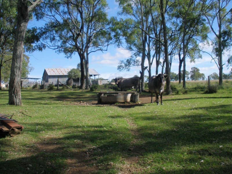 60 Maidenwell Pimpimbudgee Road, Maidenwell QLD 4615