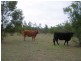 Lot 13 Duffs Road Chahpingah, Ballogie QLD 4610