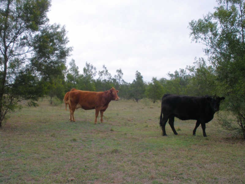 Lot 13 Duffs Road Chahpingah, Ballogie QLD 4610