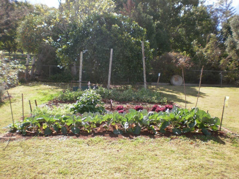 6 Carroll Street, Kingaroy QLD 4610