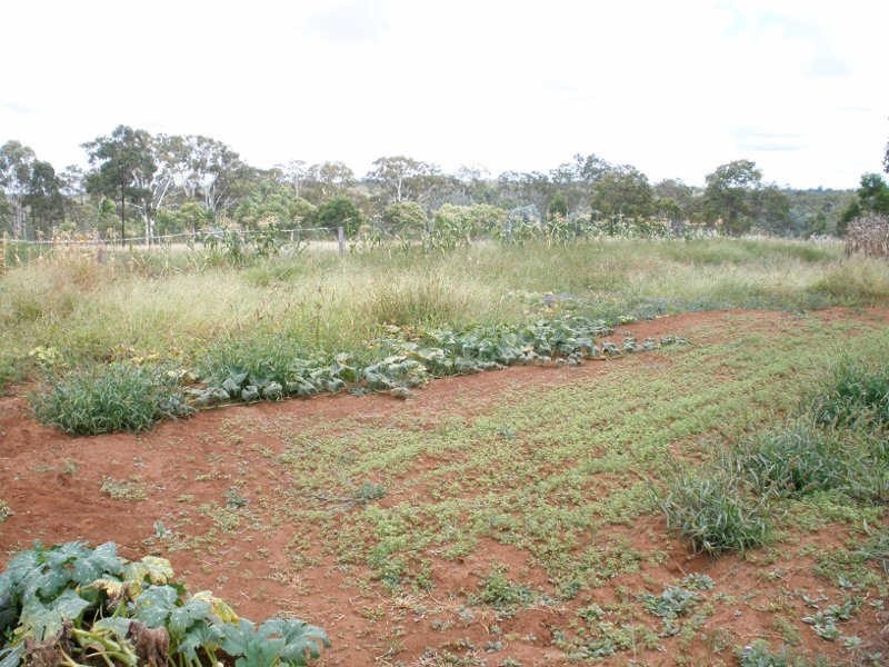 30 Wilkes Road, Wilkesdale QLD 4608