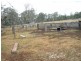 30 Wilkes Road, Wilkesdale QLD 4608
