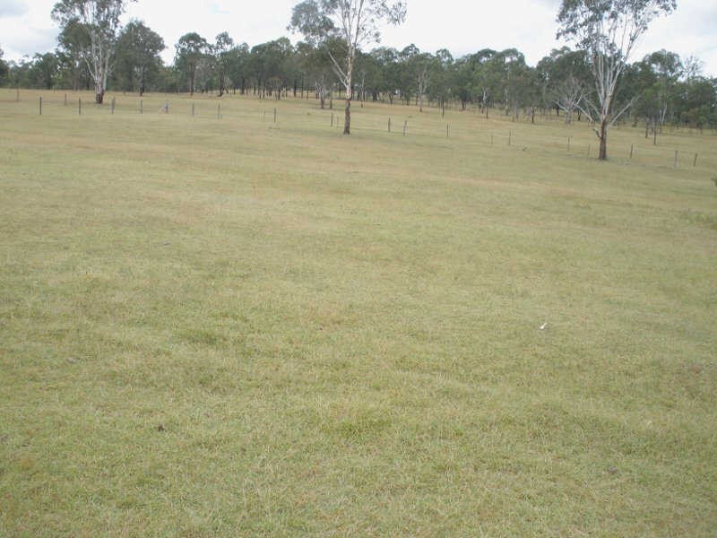 30 Wilkes Road, Wilkesdale QLD 4608