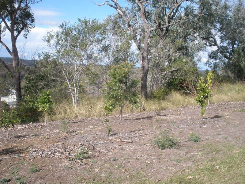 3 Olive Street, Goomeri QLD 4601