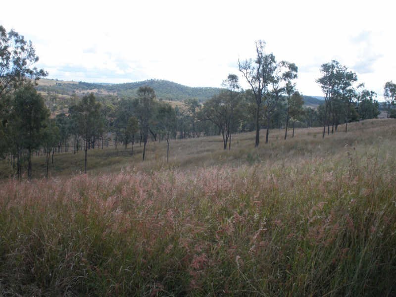 3 Olive Street, Goomeri QLD 4601