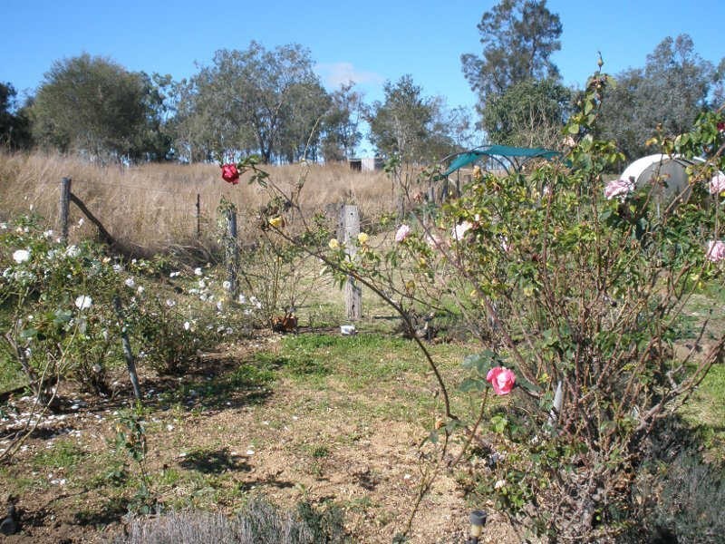 2954 Wondai Proston Road, Kinleymore QLD 4613