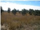 2954 Wondai Proston Road, Kinleymore QLD 4613