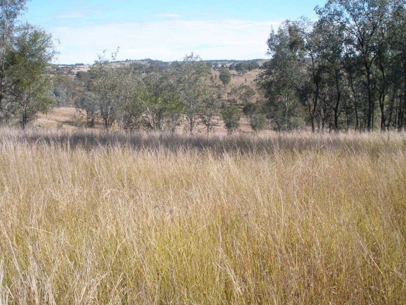 2954 Wondai Proston Road, Kinleymore QLD 4613