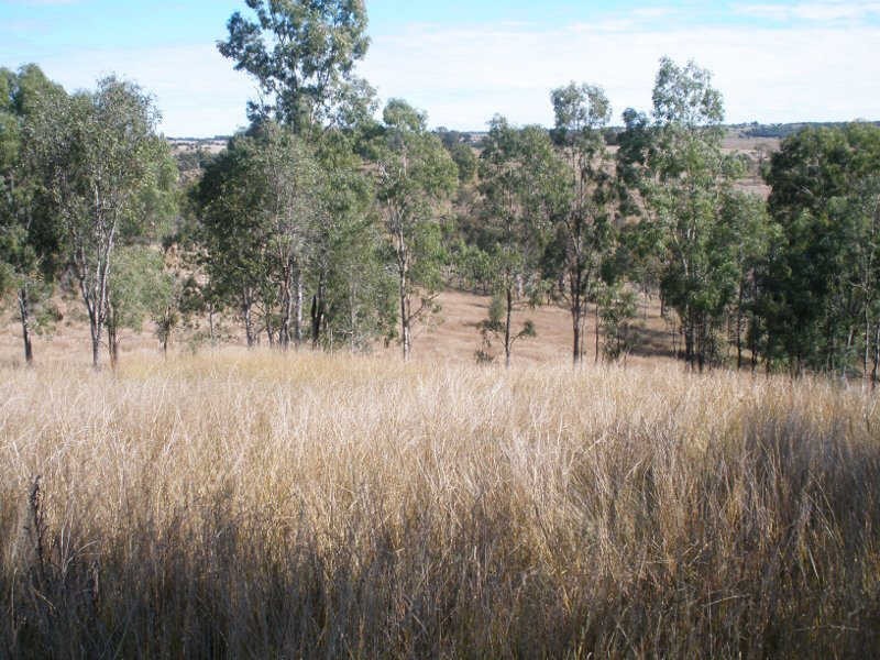 2954 Wondai Proston Road, Kinleymore QLD 4613