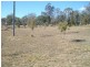 2954 Wondai Proston Road, Kinleymore QLD 4613