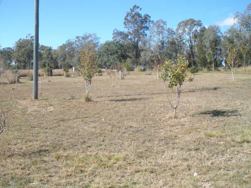 2954 Wondai Proston Road, Kinleymore QLD 4613