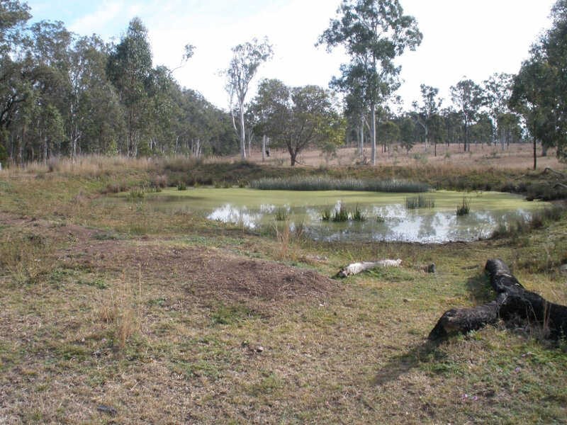 1156 Burnett Hwy, Sandy Ridges QLD 4615