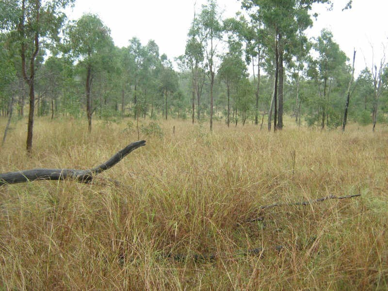 1156 Burnett Hwy, Sandy Ridges QLD 4615