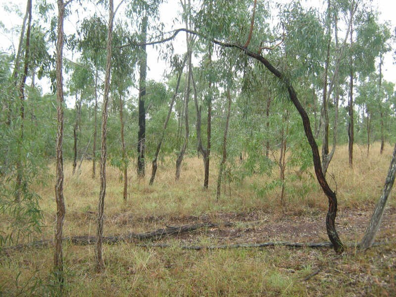 1156 Burnett Hwy, Sandy Ridges QLD 4615