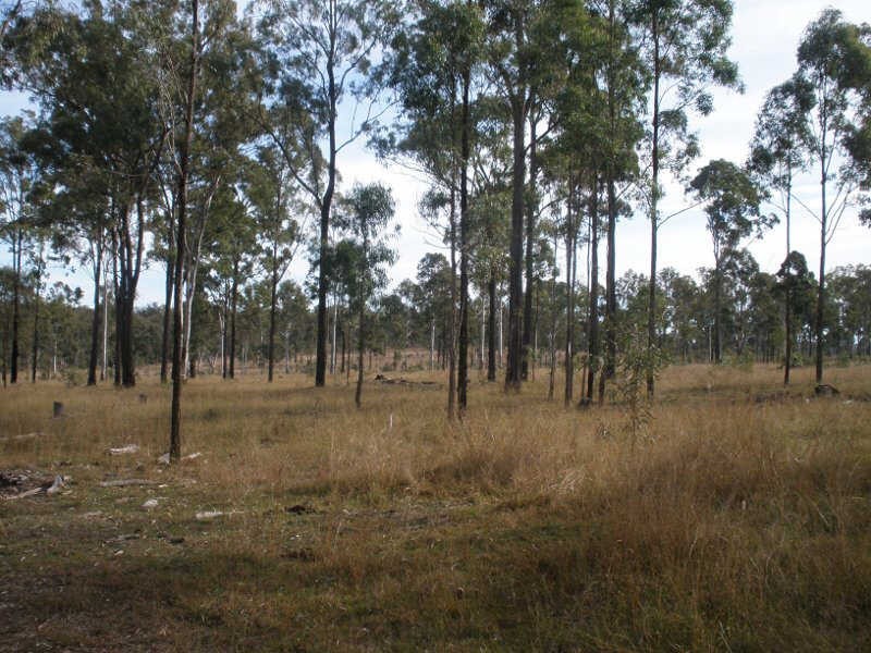 1156 Burnett Hwy, Sandy Ridges QLD 4615