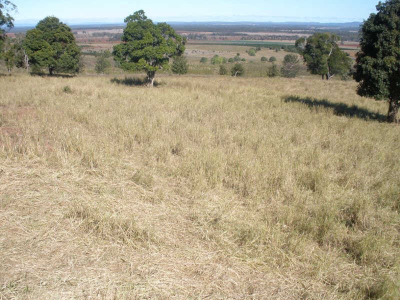 245 Woods Road, Wooroolin QLD 4608