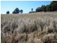 245 Woods Road, Wooroolin QLD 4608