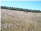 245 Woods Road, Wooroolin QLD 4608