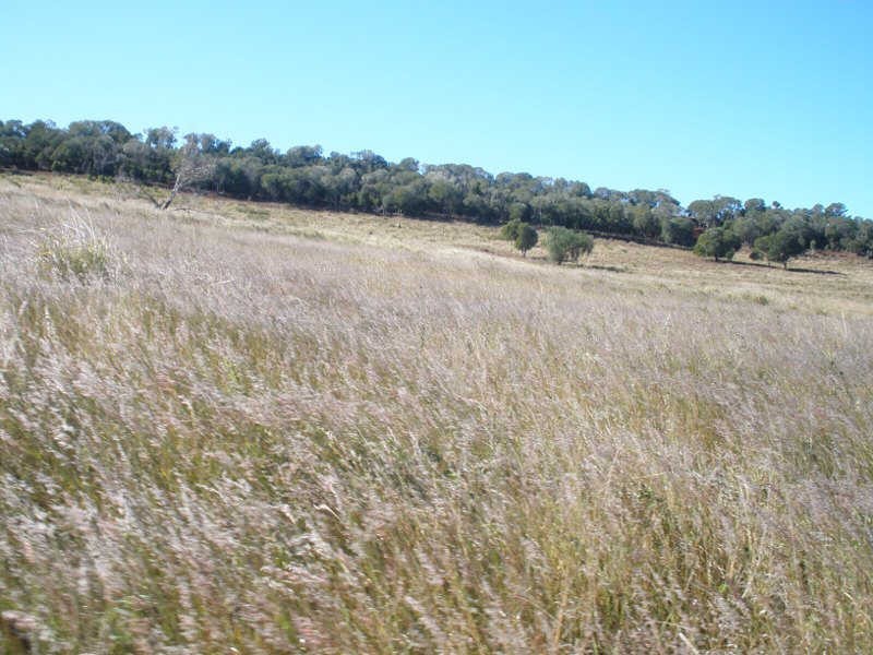 245 Woods Road, Wooroolin QLD 4608