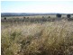 245 Woods Road, Wooroolin QLD 4608