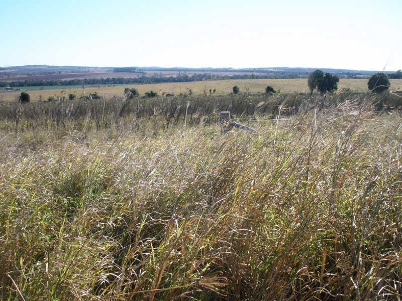 245 Woods Road, Wooroolin QLD 4608