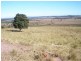 245 Woods Road, Wooroolin QLD 4608