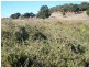 245 Woods Road, Wooroolin QLD 4608