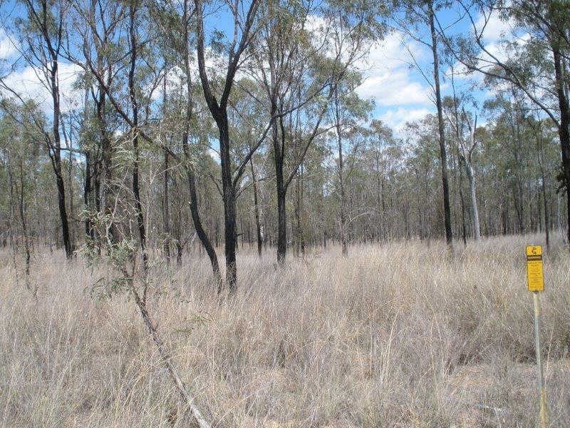 530 The Weir Road, Proston QLD 4613