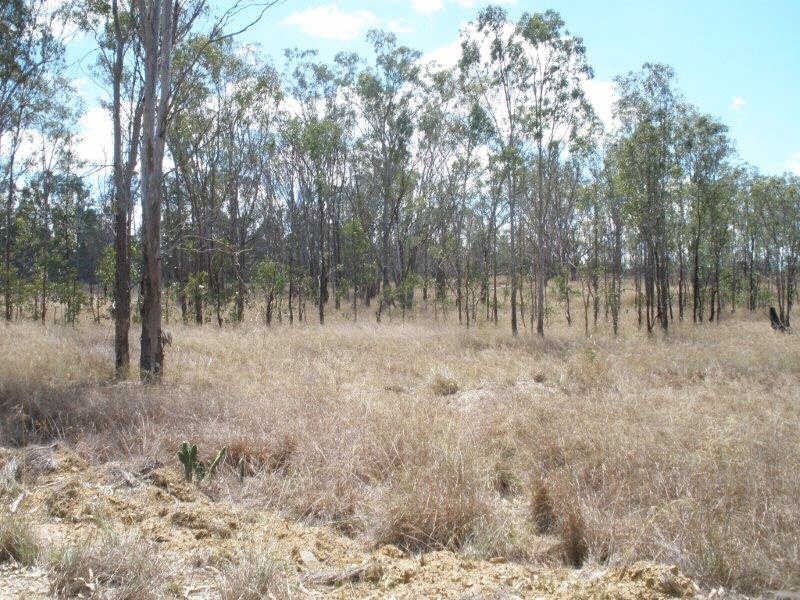530 The Weir Road, Proston QLD 4613