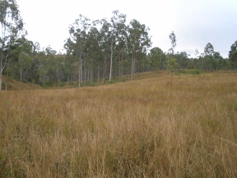 Lot 1679 Running Creek Road, Mudlo QLD 4600