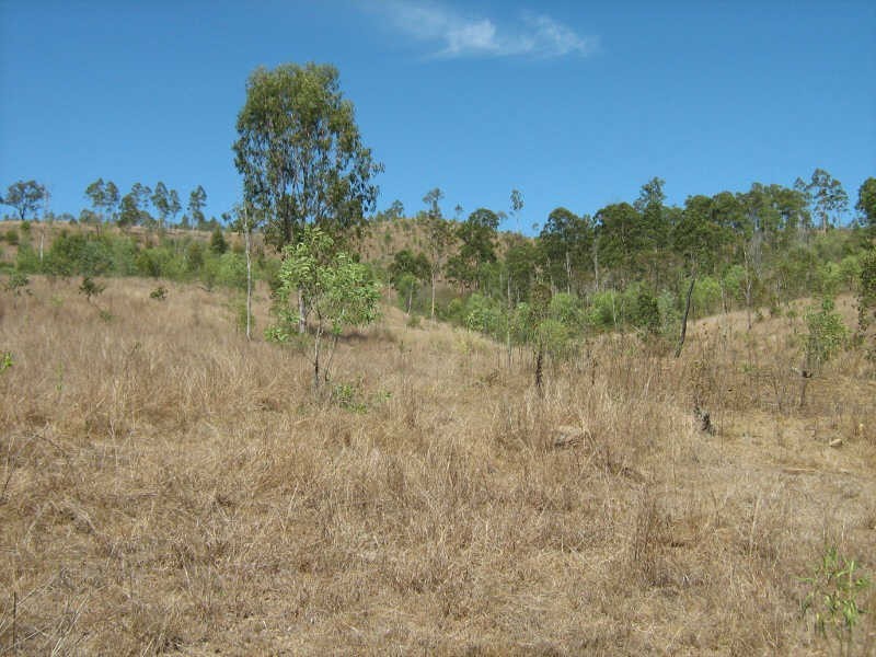 Lot 1679 Running Creek Road, Mudlo QLD 4600