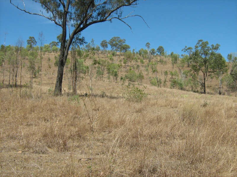 Lot 1679 Running Creek Road, Mudlo QLD 4600