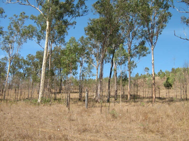 Lot 1679 Running Creek Road, Mudlo QLD 4600