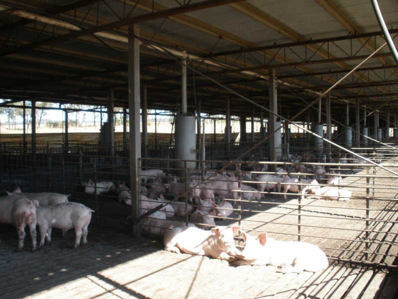 70/22 Dip Road, Windera QLD 4605