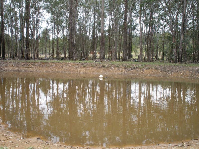 205 Wattle Camp Road, Wattle Camp QLD 4615
