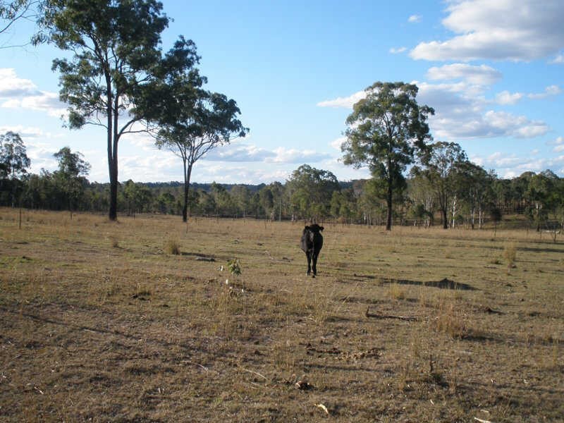 336 G Andersons Road, Cushnie QLD 4608