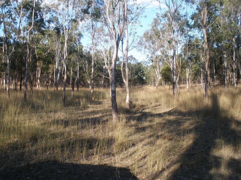 336 G Andersons Road, Cushnie QLD 4608