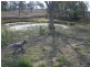 90 G Andersons Road, Cushnie QLD 4608