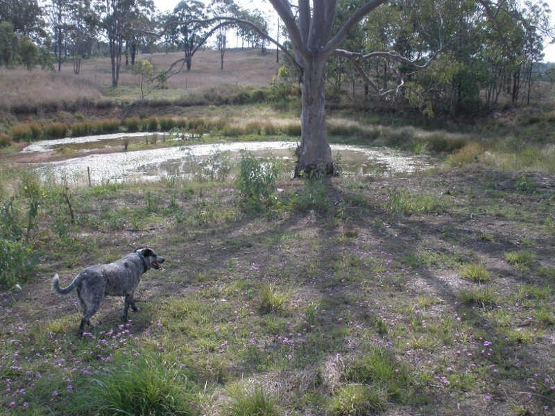 90 G Andersons Road, Cushnie QLD 4608