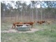 Lot 24 Running Creek Road, Mudlo QLD 4600