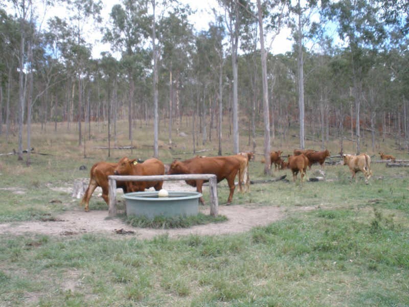 Lot 24 Running Creek Road, Mudlo QLD 4600