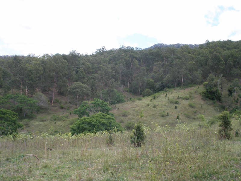Lot 24 Running Creek Road, Mudlo QLD 4600
