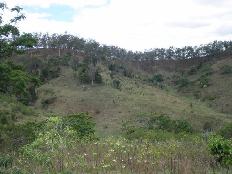 Lot 24 Running Creek Road, Mudlo QLD 4600
