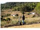 164 Haydens Road, Kingaroy QLD 4610