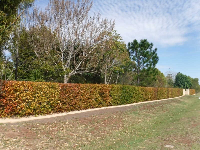 60-62 Macaulay Drive, Kingaroy QLD 4610