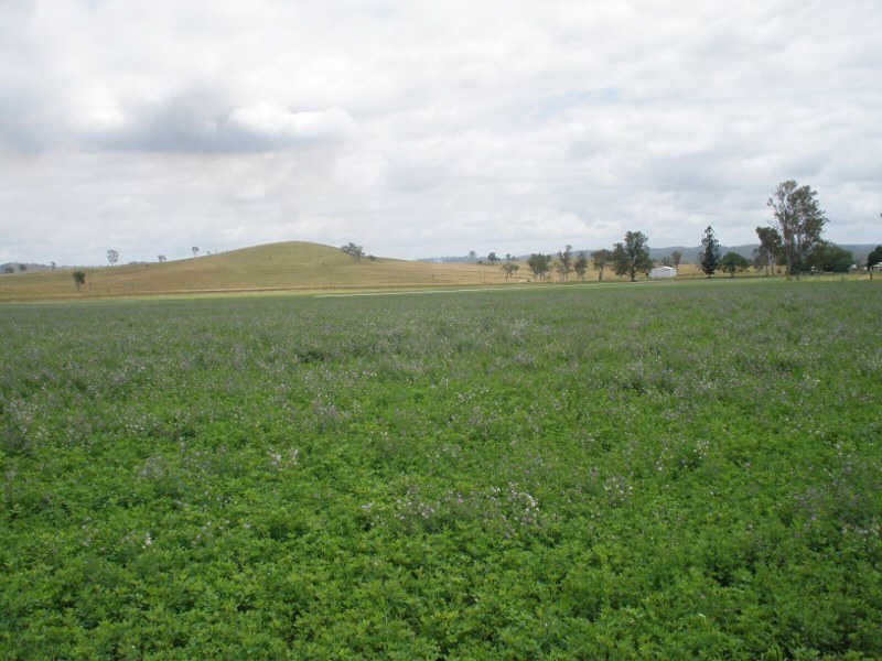 262 Cinnabar Road, Cinnabar QLD 4600