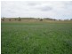 262 Cinnabar Road, Cinnabar QLD 4600