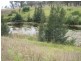 262 Cinnabar Road, Cinnabar QLD 4600