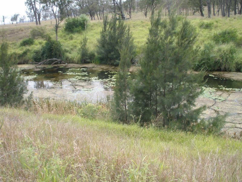 262 Cinnabar Road, Cinnabar QLD 4600