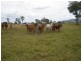 262 Cinnabar Road, Cinnabar QLD 4600